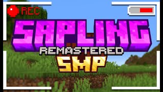 Sapling SMP  Applications Open [upl. by Fesoj]