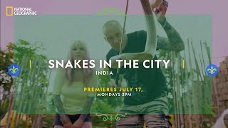 Snakes in the City  Premieres 17th July 2PM  हिन्दी  National Geographic [upl. by Tawney]