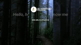 David Kushner  Mr Forgettable lyrics songlyrics lyrics [upl. by Alebasi]