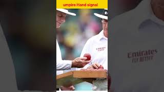 umpire signal in cricket 👉 जानिए अंपायर के हाथो का मतलब 👉 shortsviral facts cricket [upl. by Jaret]