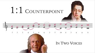 How to Compose 11 Counterpoint  Tonal Voice Leading 1 [upl. by Viglione]