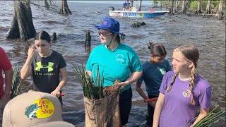 Capital SWCD Revegetation Planting [upl. by Robinette]