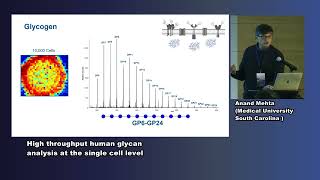 Prof Anand Mehta  High throughput human glycan analysis at the single cell level [upl. by Nauqas987]