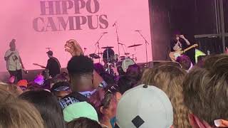 Hippo Campus  Bambi The Governors Ball Festival NYC 53119 [upl. by Sueahccaz]