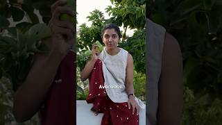 Local vs Global Food  Part 1  Food and Nutrition  nutrition golocal indianfood avocado [upl. by Hawken]