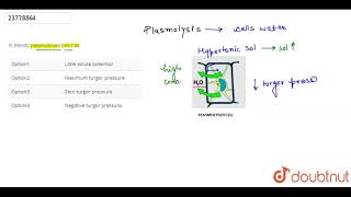 A freshly plasmolysed cell has [upl. by Nath]