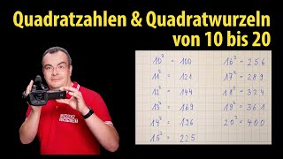 Quadratzahlen und Quadratwurzeln von 10 bis 20 zum Auswendiglernen und Nachsprechen  Lehrerschmidt [upl. by Ahsiuqal]