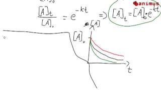 animus Tutorials Reaktion 1 Ordnung [upl. by Schlessel]