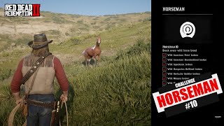 Horseman 10 challenge Red Dead Redemption 2 [upl. by Yann]