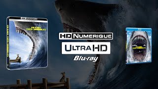 Meg 2 The Trench 2023  4K Ultra HD vs Bluray Comparison  ATMOS Preview 🎧 [upl. by Azar148]