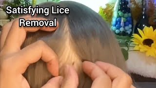 ASMR 🌻 Most Satisfying Lice Removal and Scalp CheckScratching lice pick parting  No Talking😴😪 [upl. by Robenia]