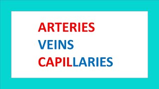 Arteries Veins Capillaries  Hindi [upl. by Nlyak]