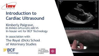 IMV imaging cardiac ultrasound video 1  Introduction to performing an echo [upl. by Lauber]