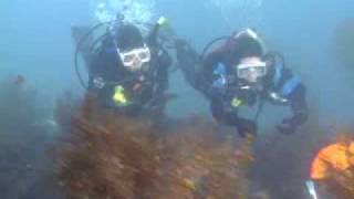 PADI Scuba Diving Lessons PADI Dry Suit Diver course [upl. by Benil221]