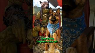 Erickson and Dogmeat’s Unique Interaction in Fallout 4 [upl. by Odlanier820]