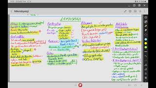 Spiroket leptospira  6 [upl. by Khudari]