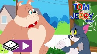 Tom amp Jerry  Self Defence Class  Boomerang UK [upl. by Imerej]