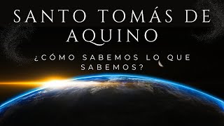 Episodio 42  Santo Tomás de Aquino ¿Cómo sabemos lo que sabemos [upl. by Duval]