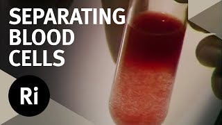 The Process of Blood Fractionation  Christmas Lectures with Walter Bodmer [upl. by Harad]