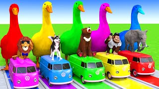 5 Giant Duck CartoonCowElephantTigerLionDinosaurPaint Wild Animals Crossing Fountain Animation [upl. by Artemus56]