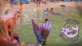 🔴 LIVE from Key West🧜‍♀️ Mermaids on the beach amp Hogs Breath Saloon 🎵 [upl. by Namielus]