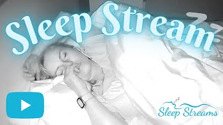 live ASMR SleepSnore Stream with Puppies [upl. by Kus607]