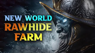 BEST New World Best Rawhide Farm Locations 2024 [upl. by Atirys]