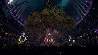 Special gift Lost Frequencies at Tomorrowland 31122020 [upl. by Nailimixam]