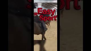 „Easy Sport” horse konie edit horsefan equestrian pony kucyk [upl. by Nayrb]