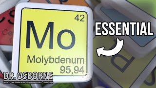 Molybdenum  An Essential Mineral Every Body Needs [upl. by Delp637]