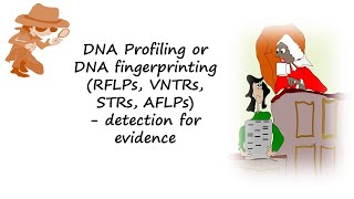 DNA profiling or DNA fingerprinting using RFLPs VNTRs STRs or AFLPs help detect evidencen [upl. by Abrahan570]