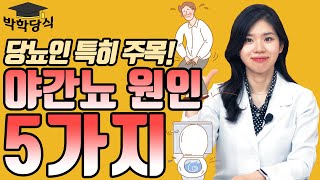 당뇨인이 밤에 소변을 보는 이유 I 야간뇨의 원인 5가지 I 야간뇨와 혈당 관계 [upl. by Cesar]