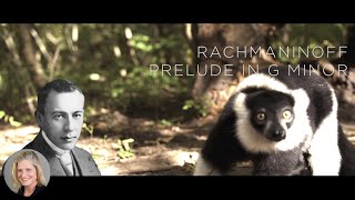 Sergei Rachmaninoff Prelude in G minor Op 23 No 5 Piano Cover by Rose Wilson lemurs [upl. by Adnilemreh806]