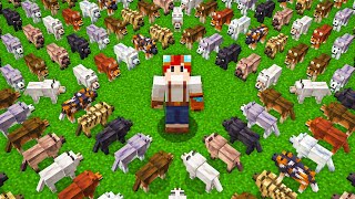 ADOTEI TODOS OS NOVOS LOBOS do MINECRAFT 121 [upl. by Libove]