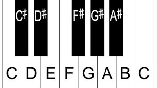 Piano Lesson 2 How To Label Piano Keys Part 2  Piano Keyboard Layout [upl. by Assirem821]