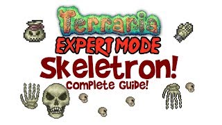 Terraria Skeletron Expert Guide Normal too Boss Fight Drops Arena Clothier Voodoo Doll [upl. by Cogan980]