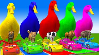 5 Giant Duck CartoonCowElephantGiraffeTigerLion Paint Wild Animals Crossing Fountain Animation [upl. by Annah]