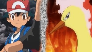 Moltres FIRE  Pokemon AMV [upl. by Edita46]