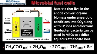 C6 Microbial fuel cells HL [upl. by Marji378]