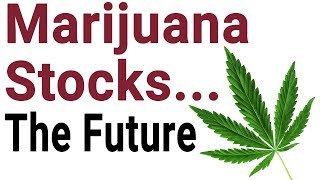 MARIJUANA Stocks in 2019  The Future of Cannabis Stocks [upl. by Ahsea]