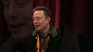 Elon Talks Art amp MONEY SECRETS  Shocking Insights short [upl. by Nal828]