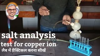 copper ion test salt analysis neet [upl. by Enelrad927]