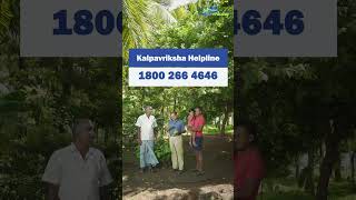 Fruit gardening as inter crop in coconut farm [upl. by Hanson497]