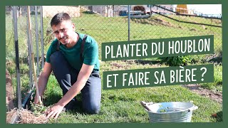 Planter du houblon pour faire sa bière [upl. by Benji]