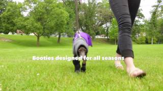 Warm and Protective Dog Booties  DogCoatscom [upl. by Ubana]