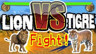 LION VS TIGRE  C KI LE  FOR [upl. by Sirovart423]