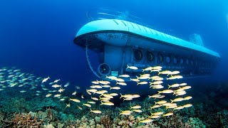 Atlantis Submarine Adventure in Oahu Hawaii [upl. by Depoliti]