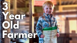 Homesteading Morning Chores with Colton the 3 Year Old Farmer [upl. by Atteval]