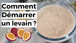 Comment faire un levain aux fruits de la passion [upl. by Raknahs41]