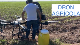 Dron para Fumigar uso Agricola en Guasave Sinaloa ¿NOS QUEDAMOS SIN TRABAJO  RUTA LA NUEVE [upl. by Ranita]